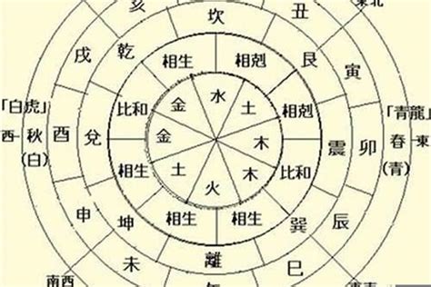 天干生地支|地支生天干的作用关系